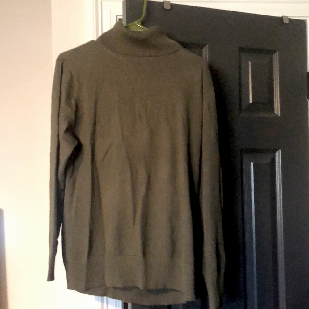 LLBean Cotton/cashmere turtle neck sweater